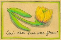 Ceci n\'est pas une fleur
